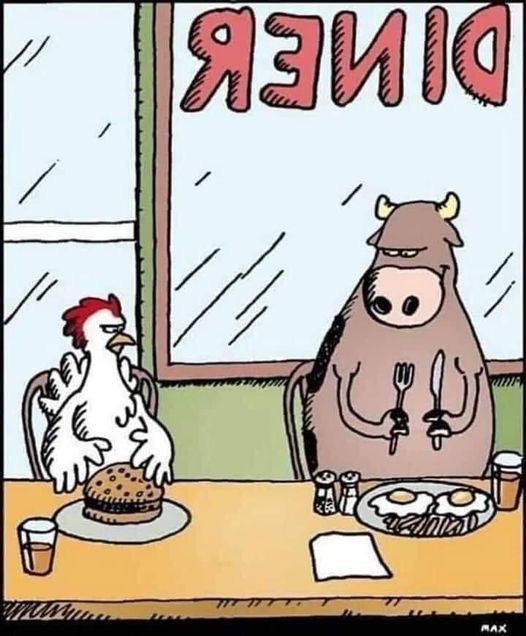 chicken and a cow in a diner.jpg
