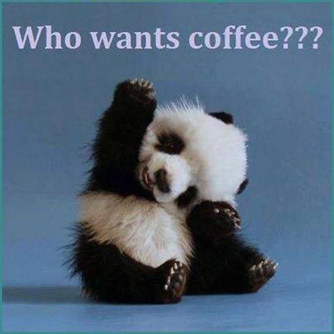 who wants coffee.jpg