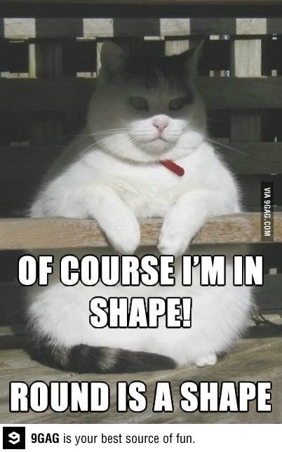 of course im in shape  round is a shape.jpg