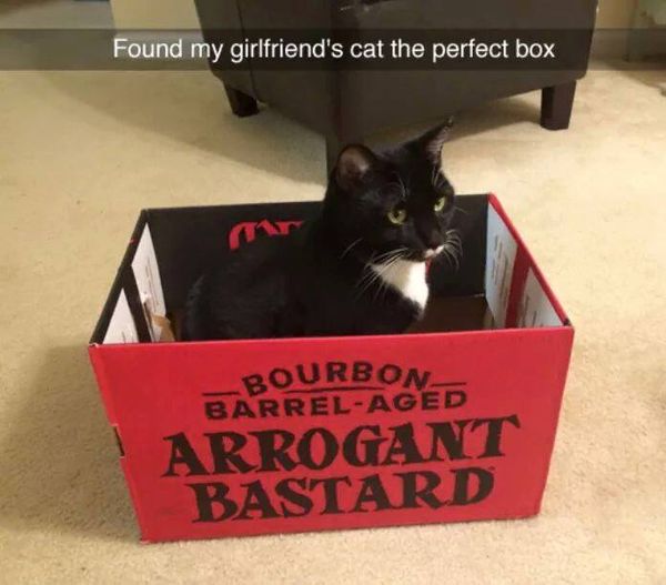 arrogant bastard.jpg