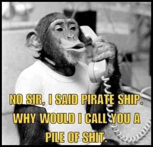 no sir  i said pirate ship  not a pile of shit.jpg