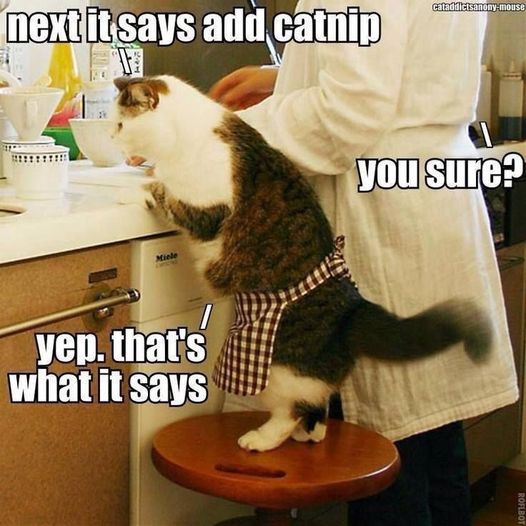 next it says add catnip.jpg
