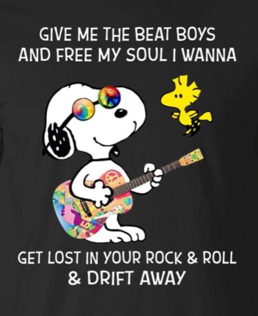 gimme the beat boys and free my soul.jpg