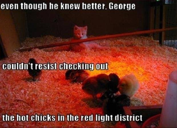 george checking out hot chicks in a red light district.jpg