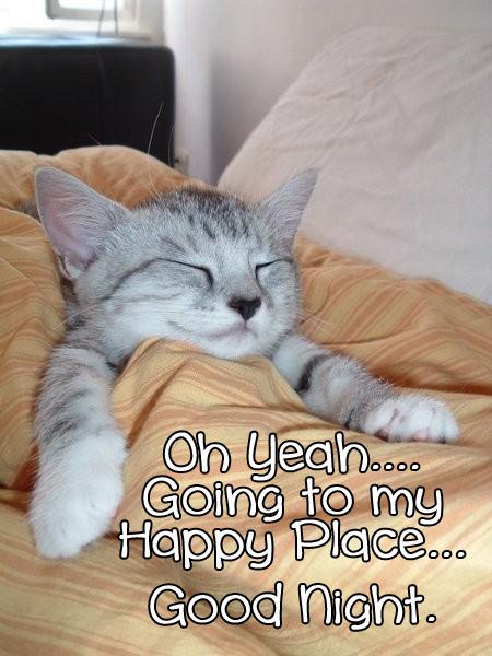 Oh yeah    going to my Happy Place   Good Night.jpg