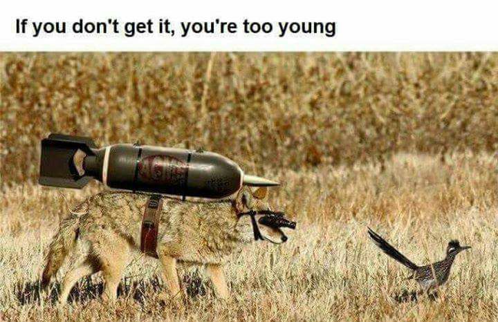 if you don't get it  youre too young.jpg