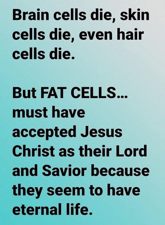 brain cells die  skin cells die   fat cells have eternal life.jpg
