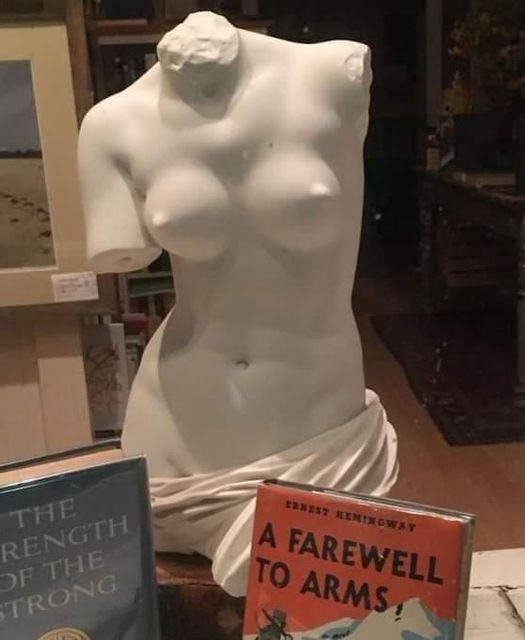 A farewell to arms.jpg