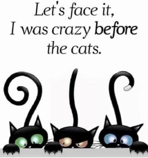 lets face it  i was crazy before the cats.jpg