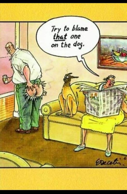 try to blame that one on the dog.jpg