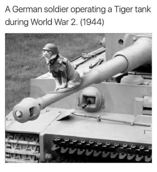 a german soldier operating a tiger tank in wwii.jpg
