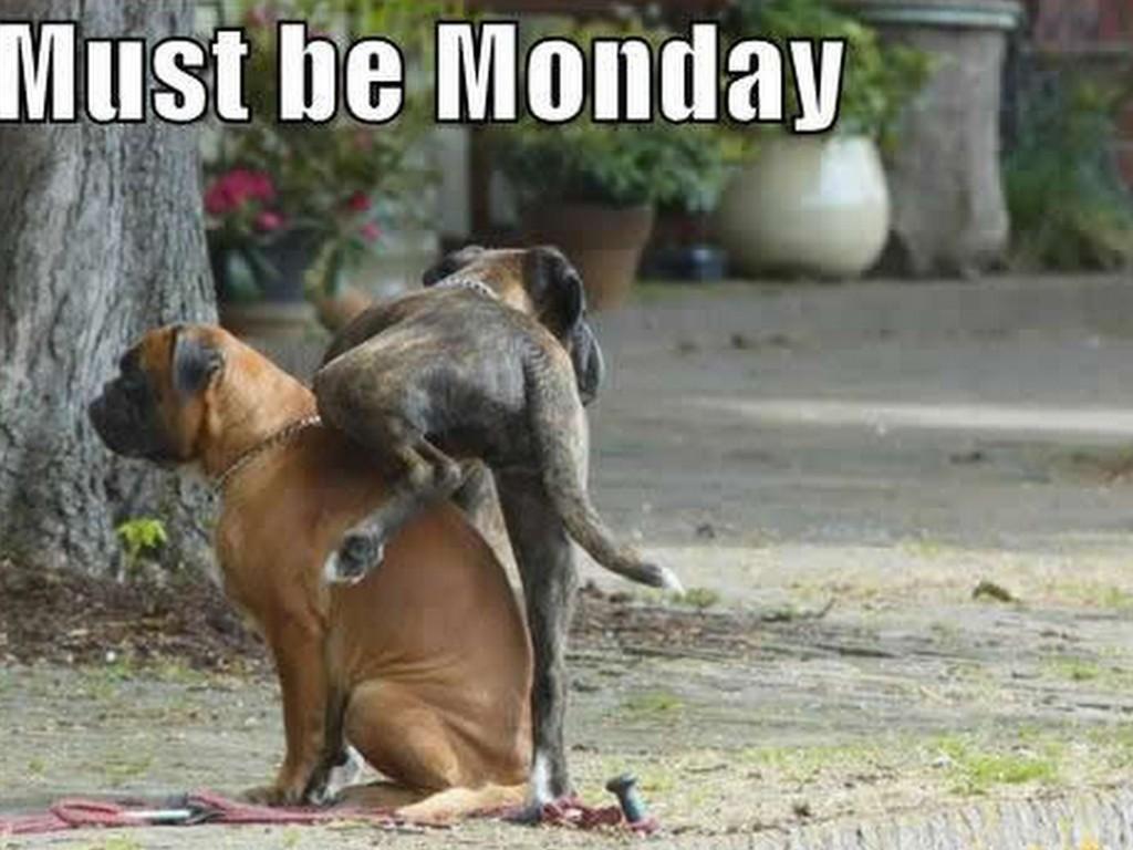must_be_monday.jpg