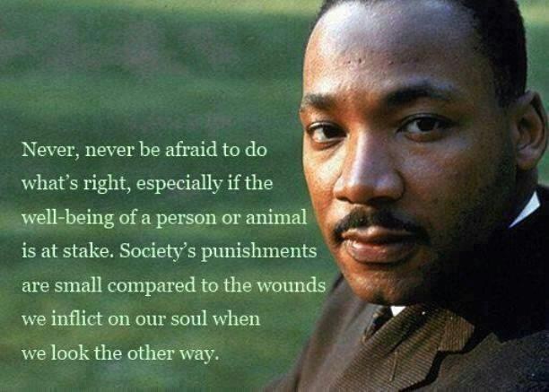 never be afraid to do what is right.jpg