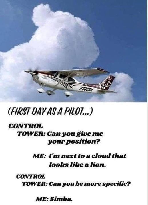 first day as a pilot.jpg