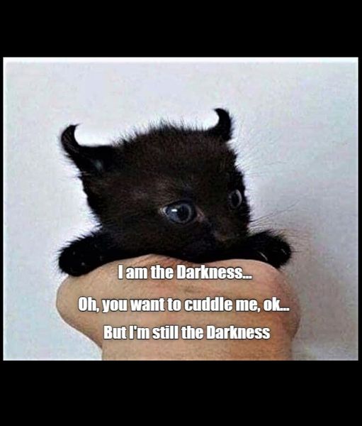 i am the darkness  oh you want to cuddle me  okay  but  am stll the darkness.jpg