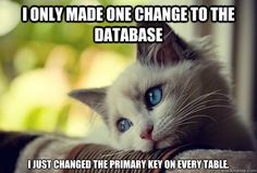 I only made one change to the database   i just changed the primary key on every table.jpg