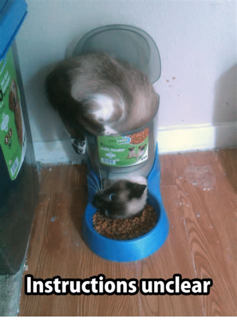 Instructions unclear.jpg