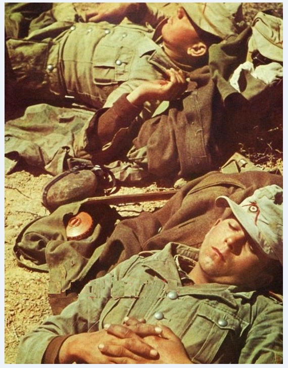 A Brief Moment To Rest.jpg