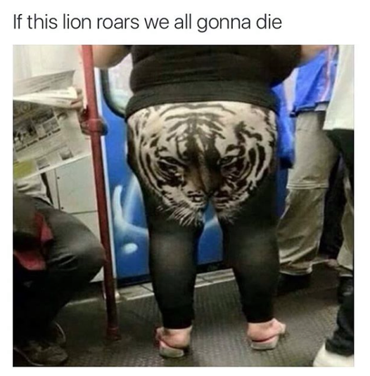 if this lion roars we are all gong to die.png