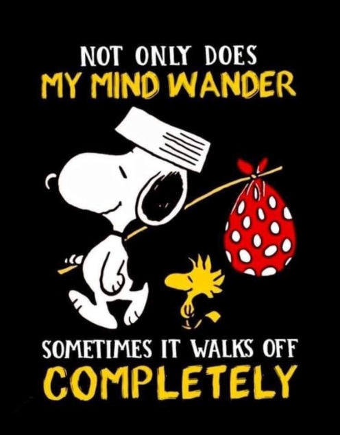 nor only does my mind wander   sometimes it walks off completely.jpg