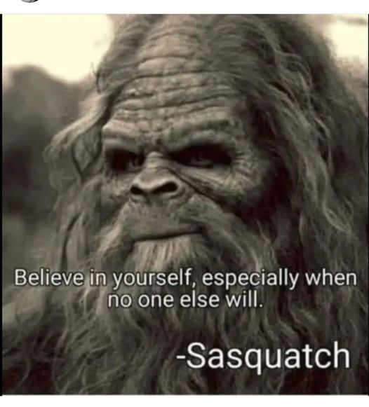 believe in yourself when no one else will   Sasquatch.jpg