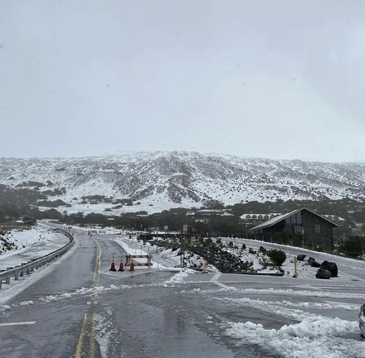 SNOW at the Visitors Center  Kona Hawaii.jpg