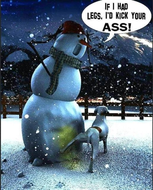 Snowman  if i had legs i would kick yur ass.jpg