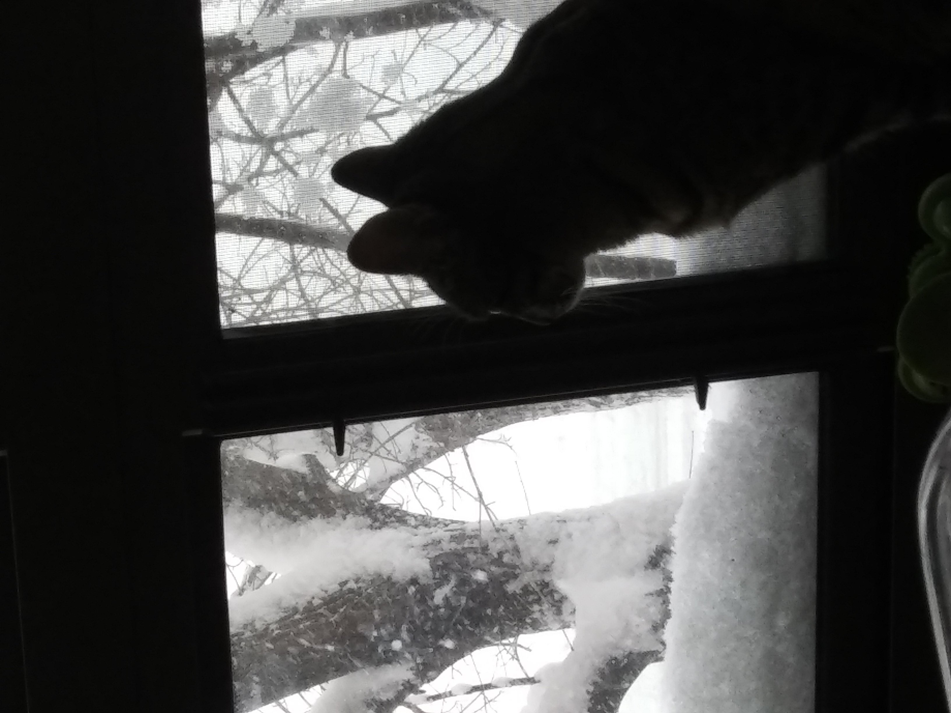 20211205_113451.jpg