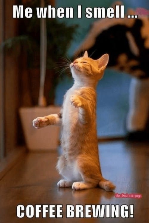 me when i smell coffee brewing.jpg