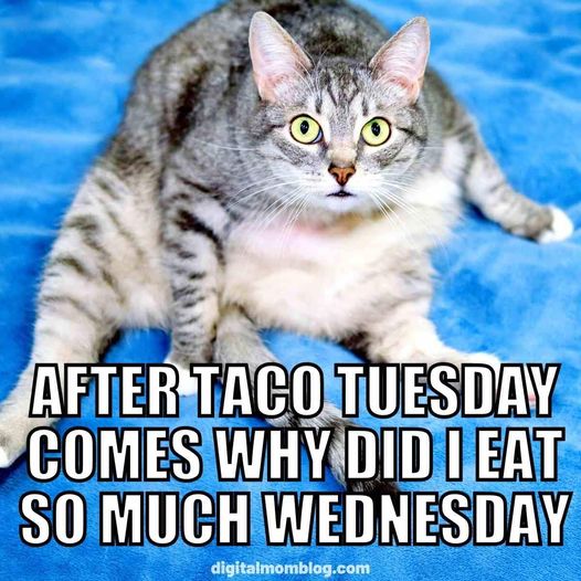 after taco tuesday  why did i eat so much on wednesday.jpg