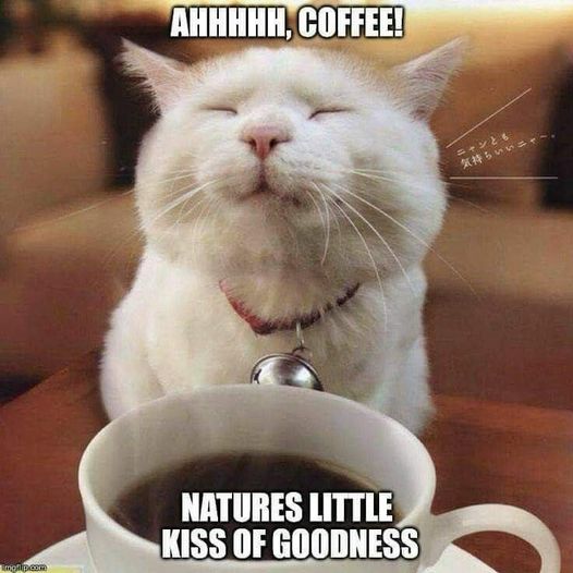 ah coffee  natures kiss of goodness.jpg