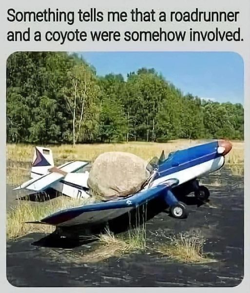 a roadrunner and a coyote were probably involved.jpg