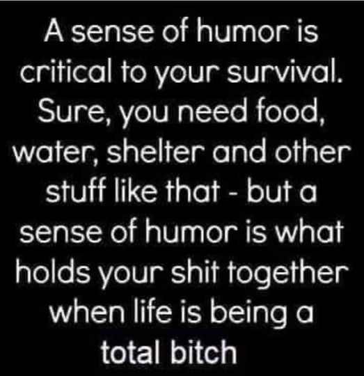 a sense of humor is critical to your survival.jpg