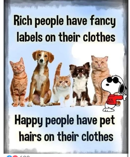 what people have on their clothes.jpg