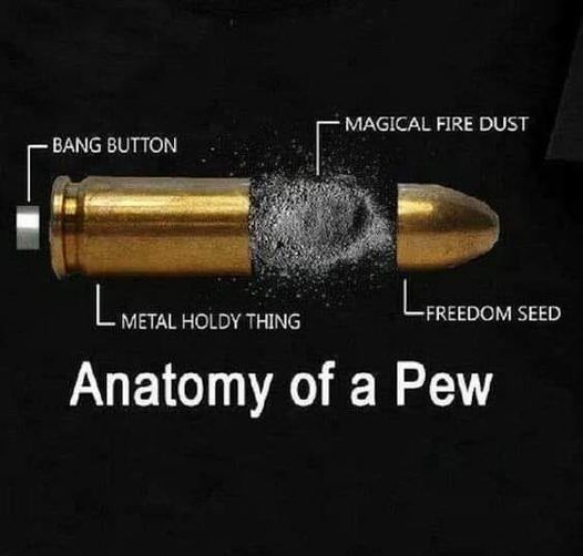 anatomy of a paw.jpg