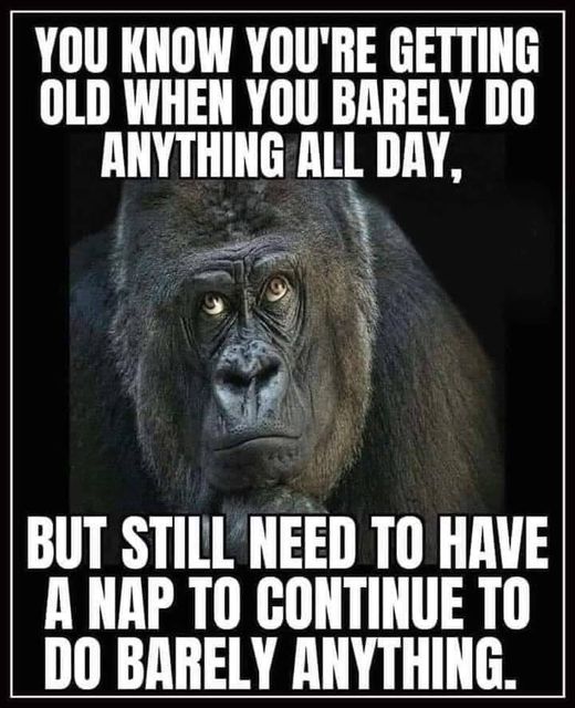 youre getting old when you do nothing all day but still need a nap.jpg
