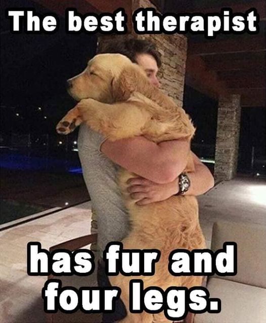 The best therapist has fur and four legs.jpg