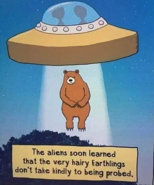 the aliens soon learned that the very hairt eartlings dont take kindly to being probed.jpg