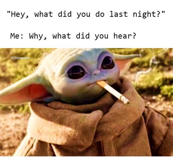 what did you do last night   why what did you hear.jpg