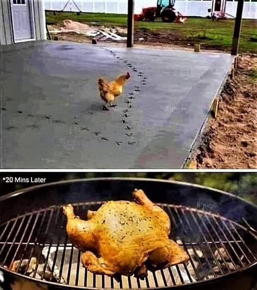 chicken who walked on fresh concrete.jpg
