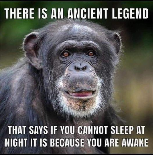 you cant sleep at night because you are awake.jpg