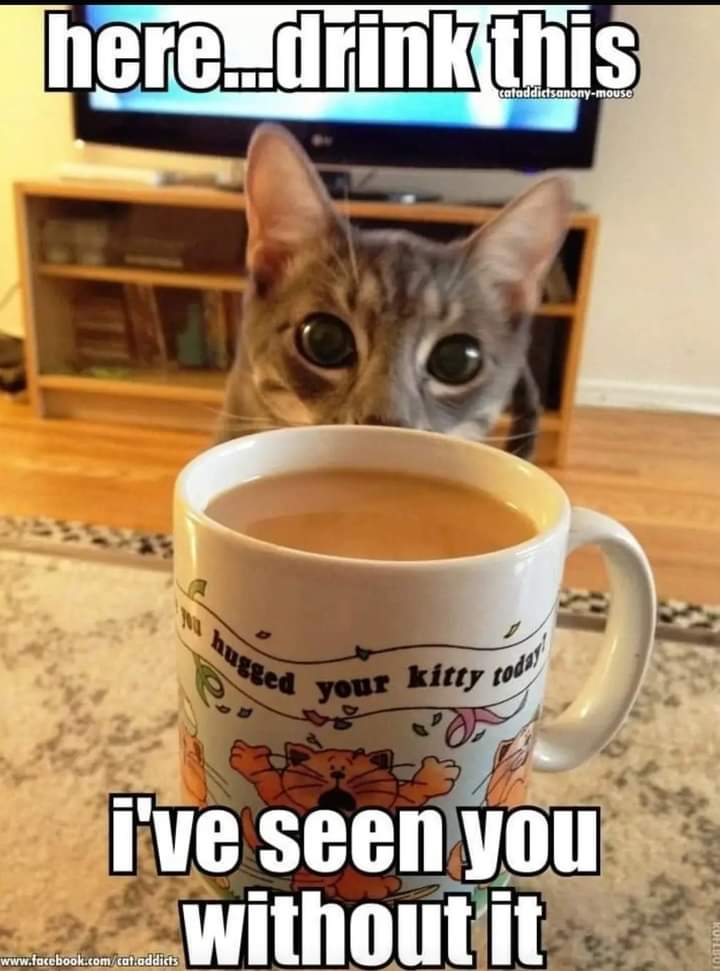 FB_IMG_1681228731054.jpg