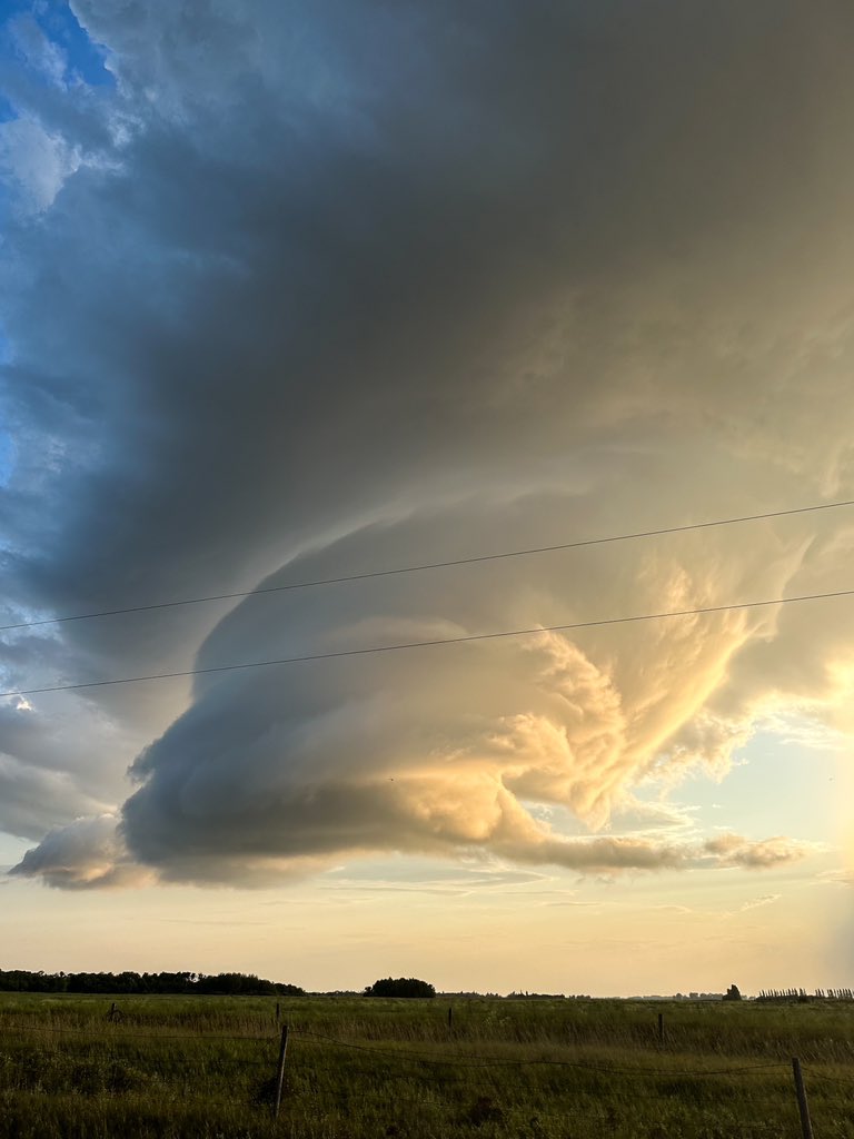 Storm drops giant poop emoji- July 26, 2023.jpg