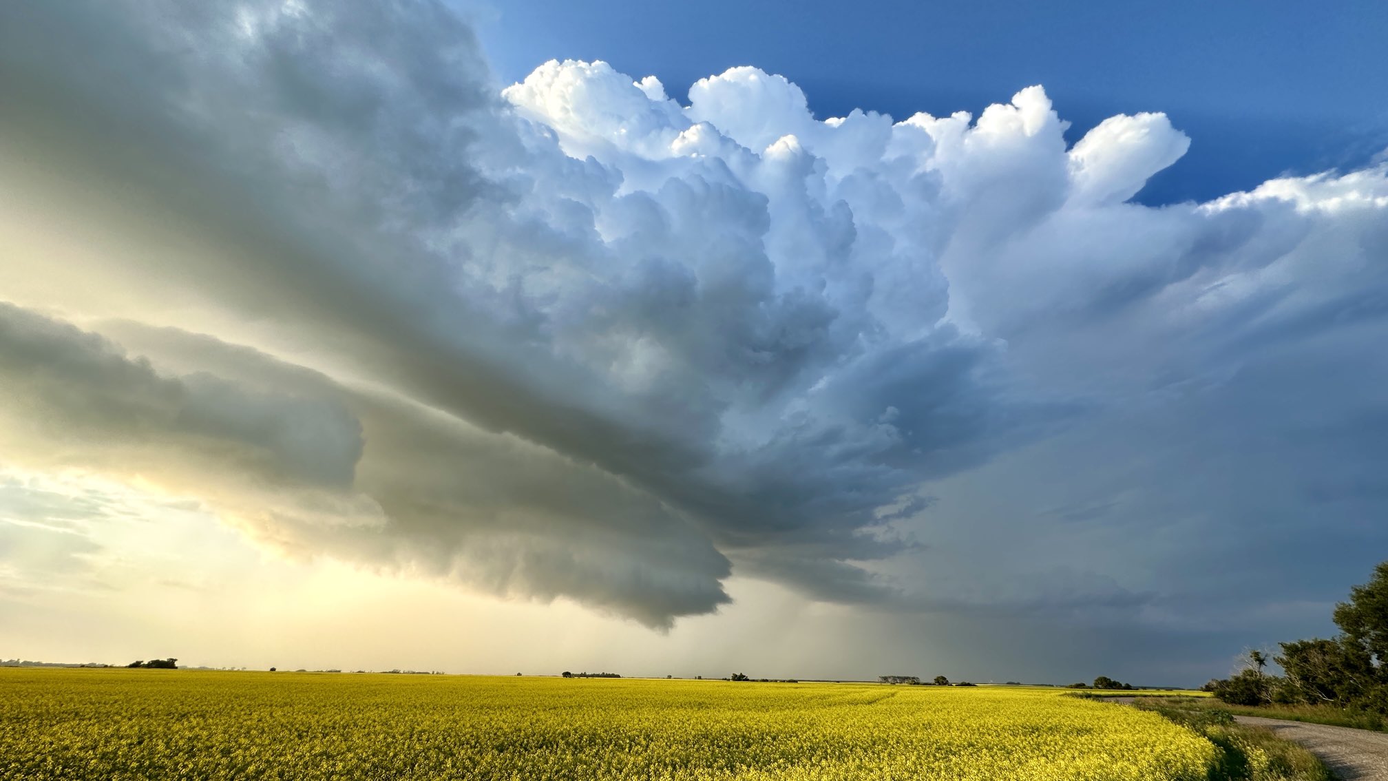 Thunderstorm and Shelf Cloud N of Winnipeg July 23, 2023.jpg