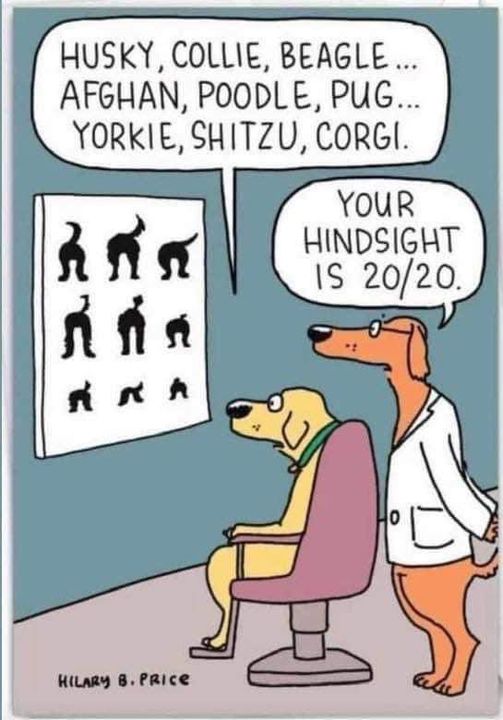 hindsight 20 20.jpg
