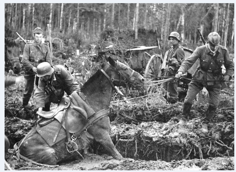 The Volkhov Front.jpg