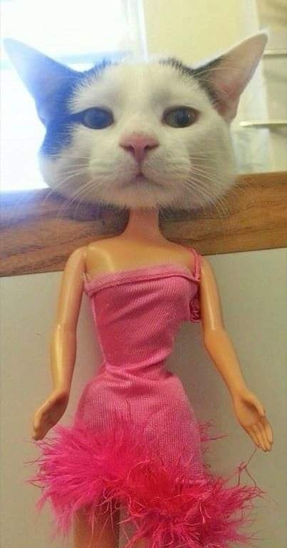 doll with a cat head.jpg