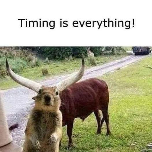 timing is everything.jpg