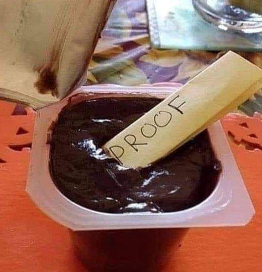 proof in the pudding.jpg