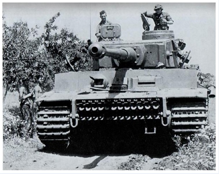 Tiger 131.jpg